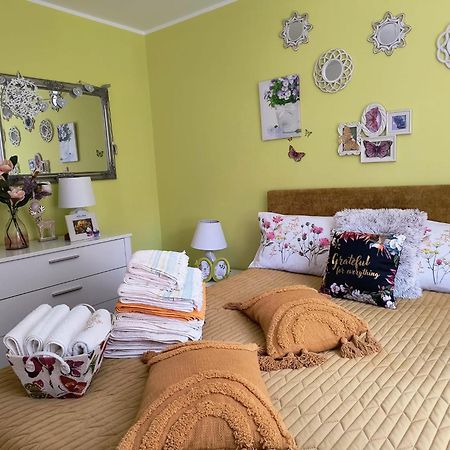 Sweet Butterflies Residence Brasov Exterior photo