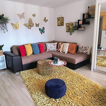 Sweet Butterflies Residence Brasov Exterior photo